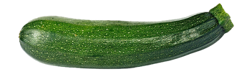 courgette_225127714-e1472806852932.png