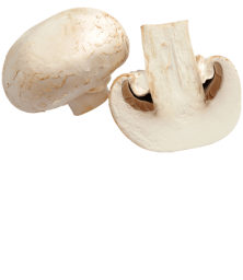 champignon-paris-fiche-bonduelle