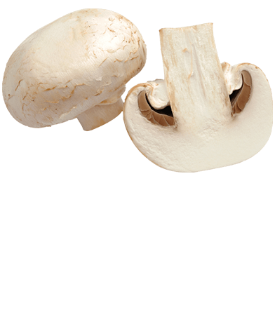 champignon-paris-fiche-bonduelle