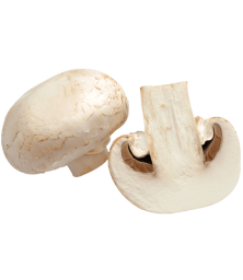 champignon-paris-fiche-bonduelle