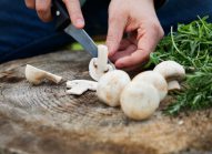 champignon-paris-potager