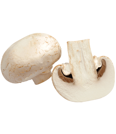 champignon-paris-fiche-bonduelle