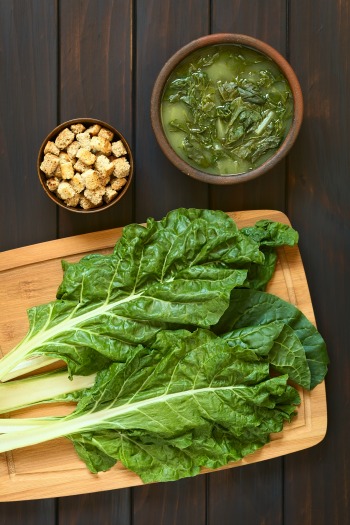 bette-soupe-bonduelle bette-soupe-bonduelle