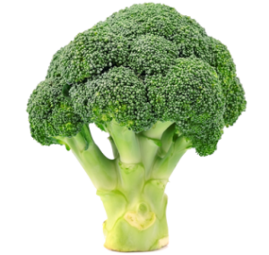 Le brocoli - Fiche légume, valeurs nutritionnelles, calories
