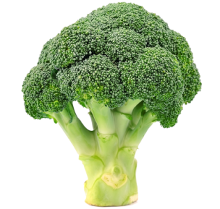 Top 10 des bienfaits du brocoli pour la santé