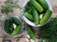 cornichon-potager-legume