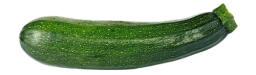 courgette-fiche-bonduelle