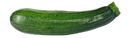 courgette-fiche-bonduelle