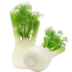 fenouil-fiche-bonduelle
