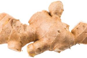 gingembre-fiche-bonduelle