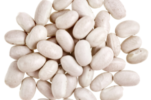 haricot-blanc-fiche-bonduelle