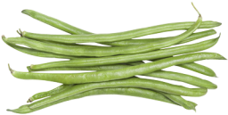 haricot-vert-fiche-bonduelle