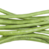 haricot-vert-fiche-bonduelle