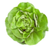Lettuce