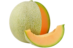 melon-fiche-bonduelle