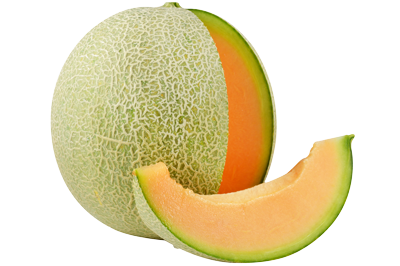 melon-fiche-bonduelle