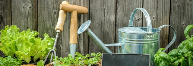 urban agriculture