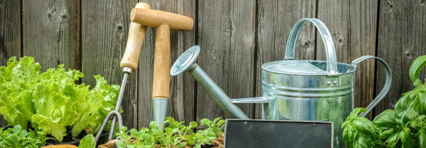 urban agriculture