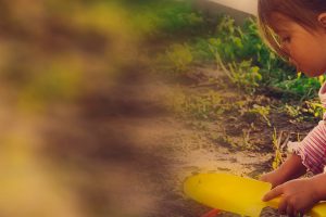 Les activités en chiffres de la Fondation Louis Bonduelle