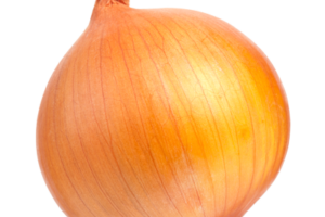 oignons-fiche-bonduelle