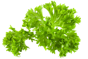 persil-fiche-bonduelle