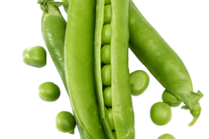 petit-pois-fiche-bonduelle