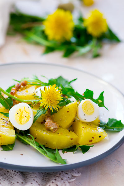 pissenlit-salade-bonduelle