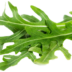 roquette-fiche-bonduelle