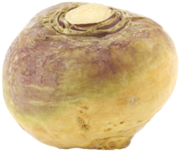 rutabaga-fiche-bonduelle