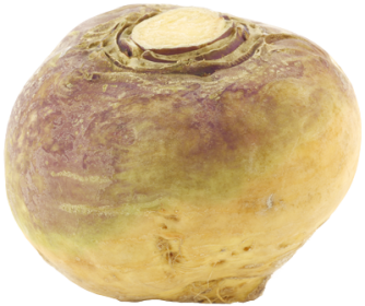 rutabaga-fiche-bonduelle