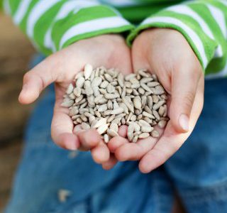 enfant-education-potager