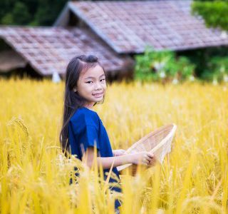 enfant-laos-champs