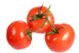 tomate-fiche-bonduelle