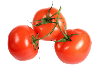 tomate-fiche-bonduelle