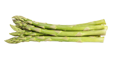 Les asperges - Fiche légume, valeurs nutritionnelles, calories, santé