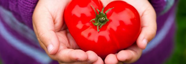 children-comment-faire-aimer-les-legumes-aux-enfants-fondation-bonduelle
