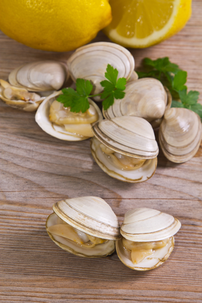 fer-nutriments-bonduelle