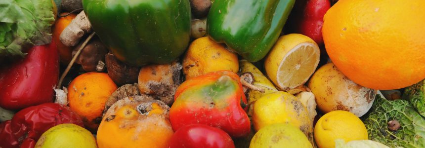 Food waste-Gaspillage alimentaire : dossier scientifique de la Fondation Louis Bonduelle