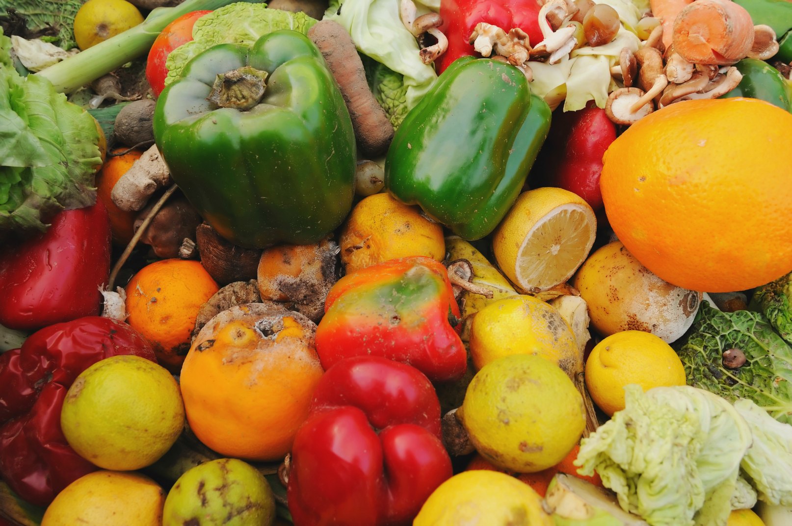 Food waste-Gaspillage alimentaire : dossier scientifique de la Fondation Louis Bonduelle