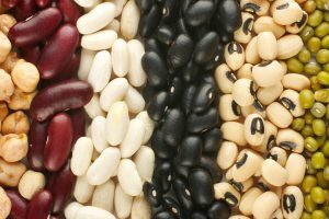 pulses-légumes secs-Fondation-Bonduelle-2016