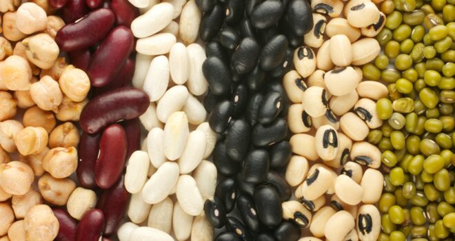 pulses-légumes secs-Fondation-Bonduelle-2016
