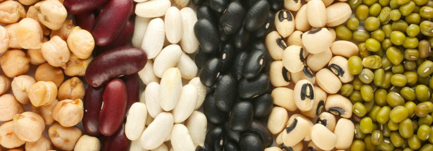 pulses-légumes secs-Fondation-Bonduelle-2016
