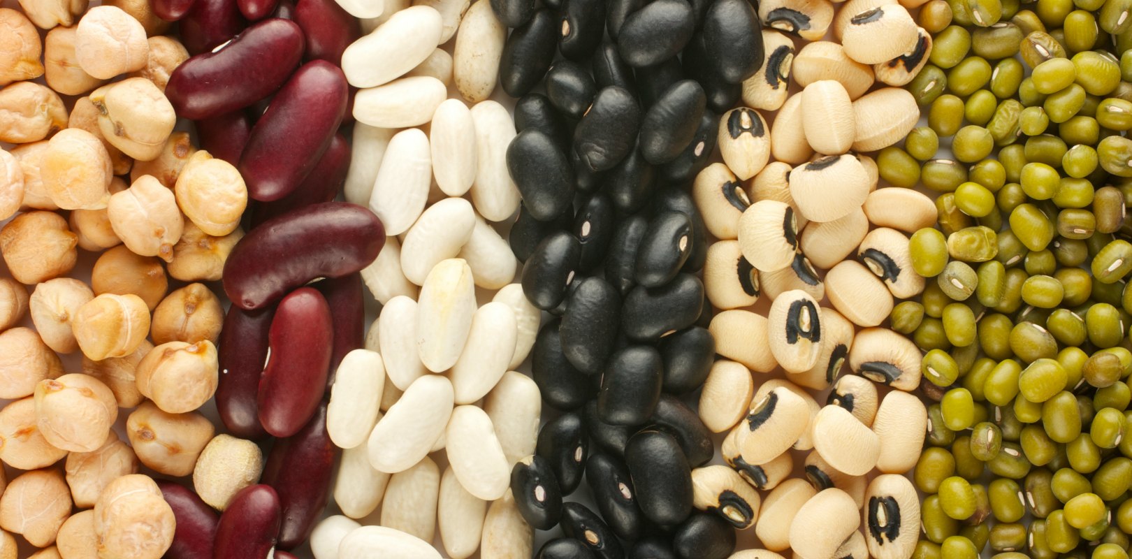 pulses-légumes secs-Fondation-Bonduelle-2016