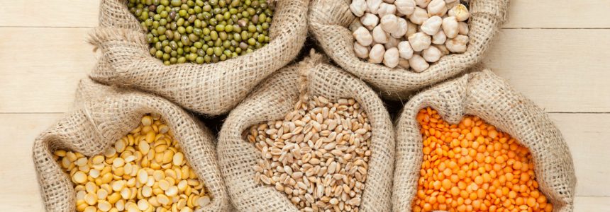 pulses-légumes secs-livre-fondation-bonduelle
