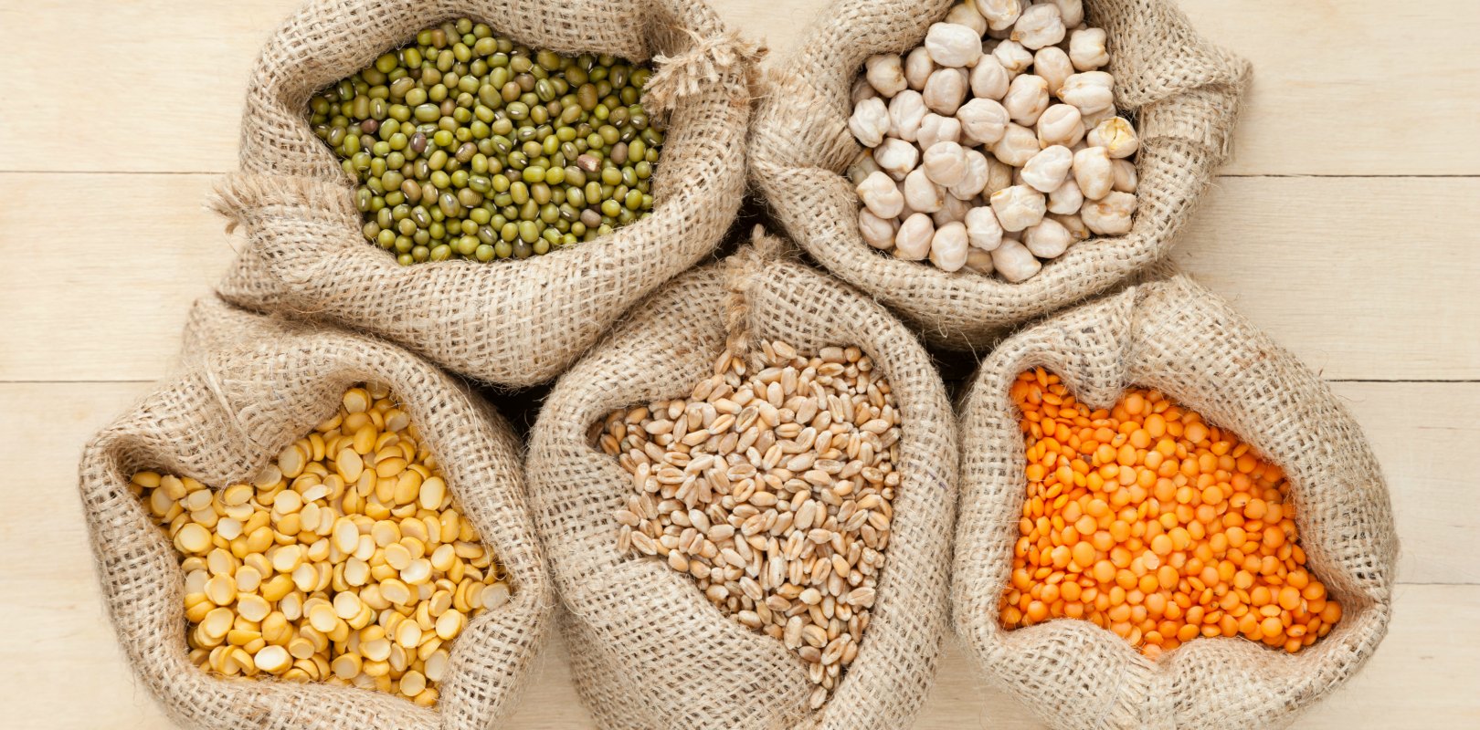 pulses-légumes secs-livre-fondation-bonduelle