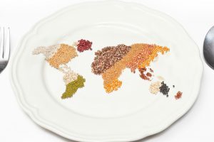 plant-based proteins-proteines-vegetales-fondation-bonduelle