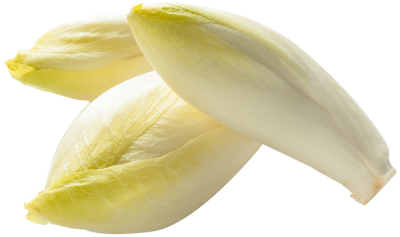 endive-legumes-bonduelle-e1478533095419.