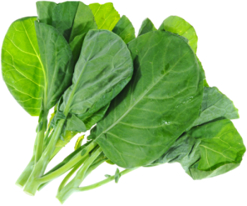 grelot-legume-bonduelle
