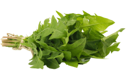 pissenlit-legume-bonduelle