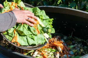 Spreco alimentare-gaspillage-alimentaire-food-waste-bonduelle